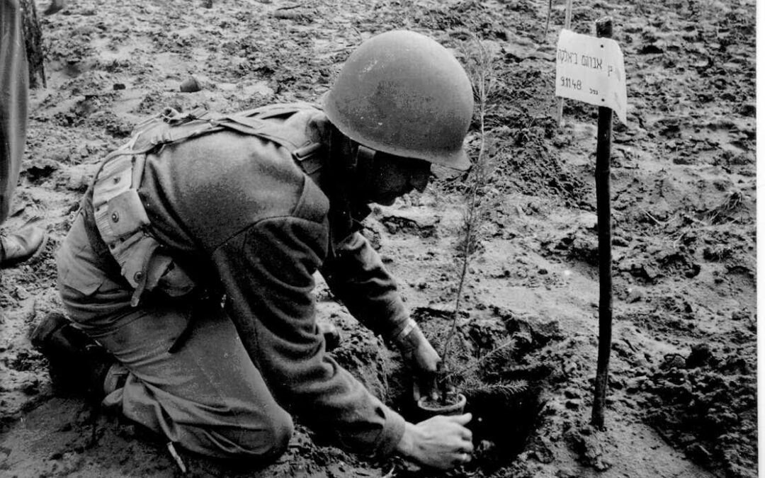 Dans Territoire, Il y a La Terre, Il y a L’histoire
