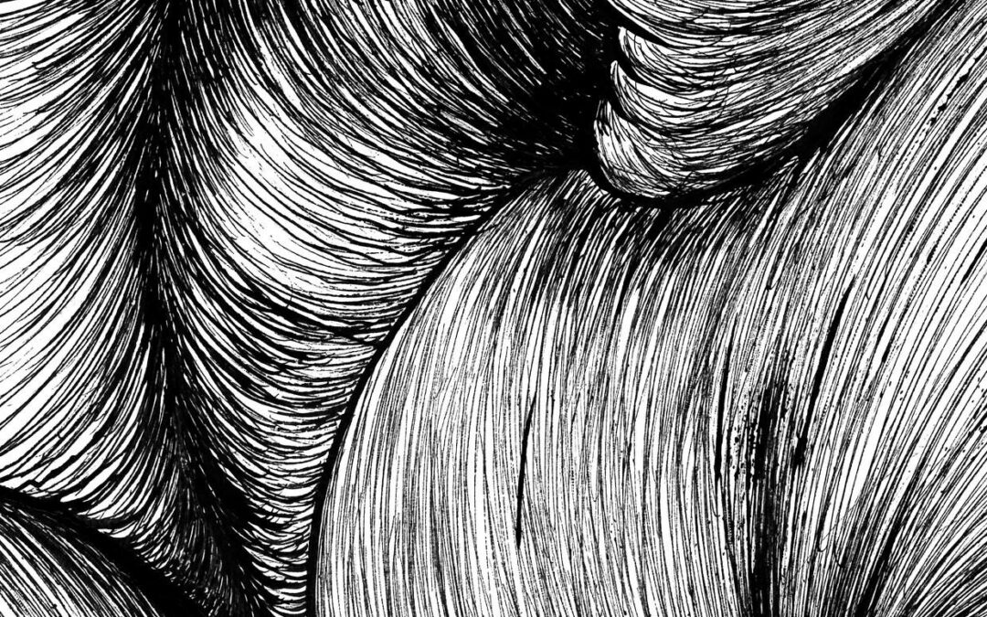 Soirée de lancement / Nouveau livre du Collectif Phictions