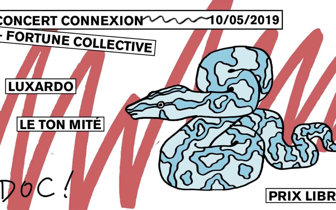 Concert Connexion : Le ton mité – Luxardo – Fortune Collective