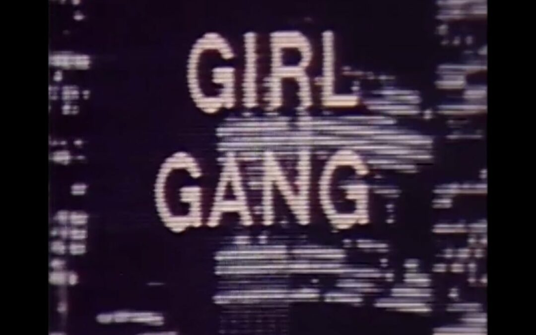 Born in Flames (L. Borden, 1983)