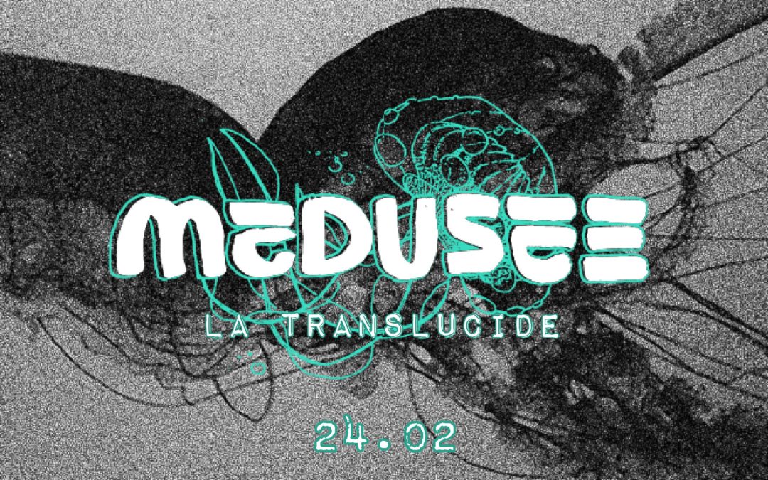 Médusée: la translucide