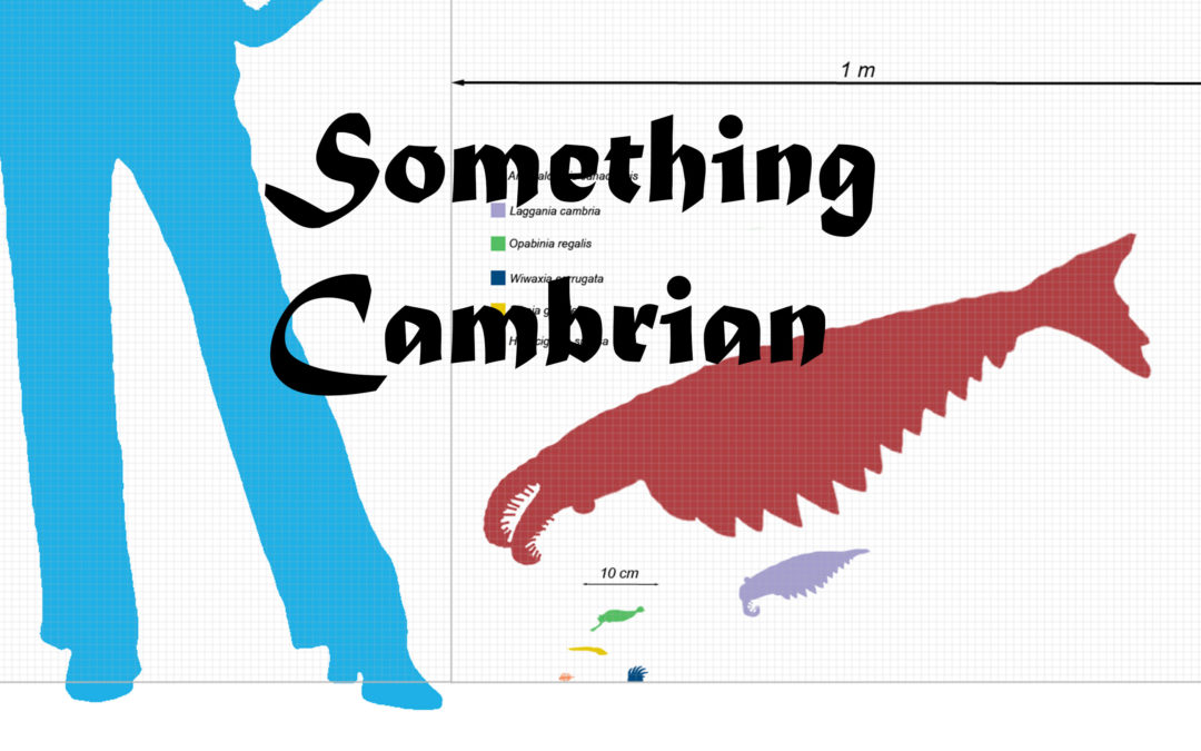 Something Cambrian: New sound works by Maxime Rossi, Nathan Gray and Naïmé Perrette