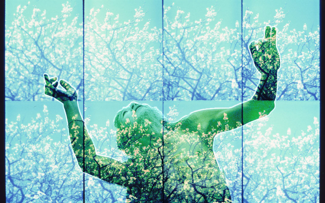 Mushimaru Fujieda & Tropical Tree Ensemble