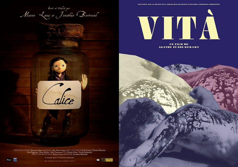 Projections / CALICE – VITA