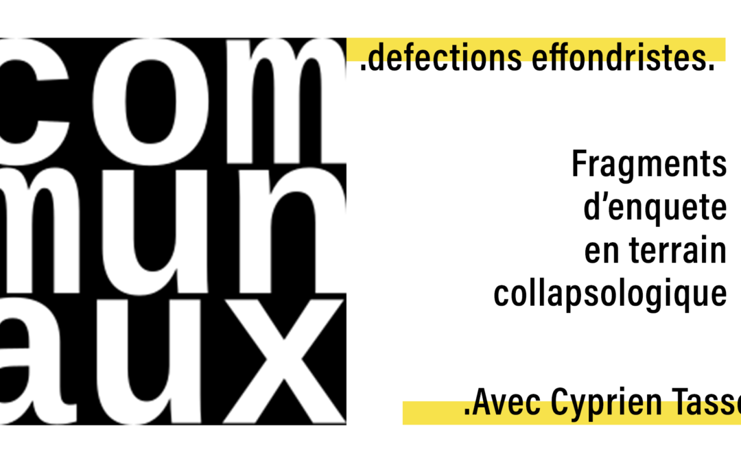 Fragments d’enquête en terrain collapsologique