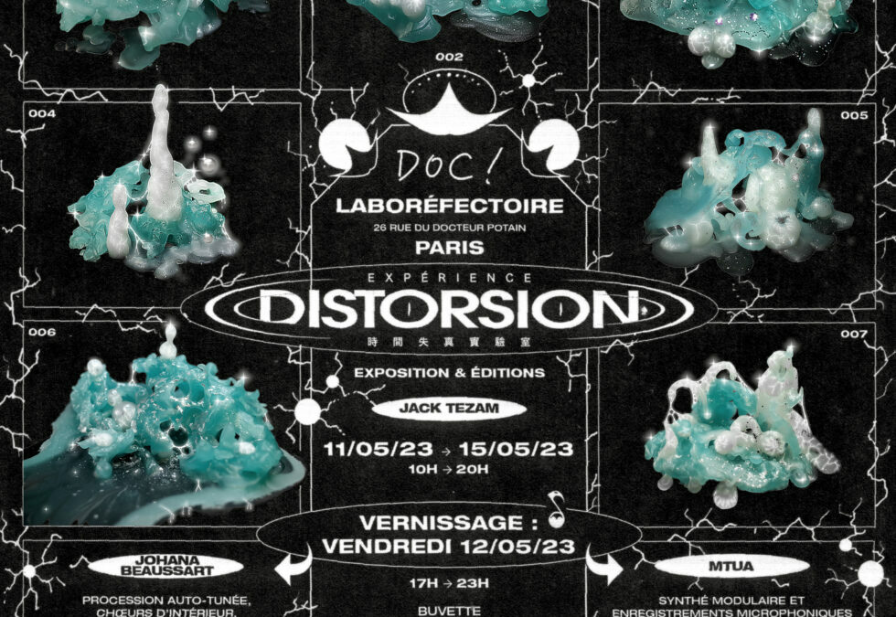 Expérience Distorsion – Exposition & Editions