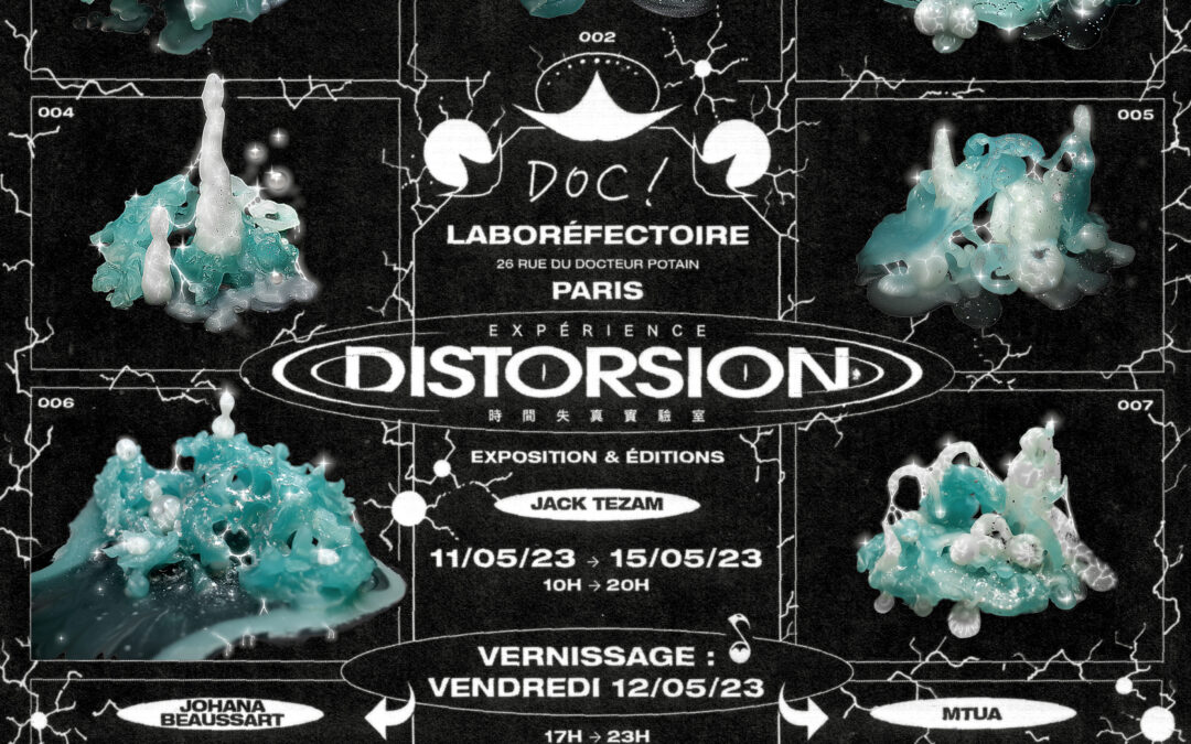 Expérience Distorsion – Exposition & Editions