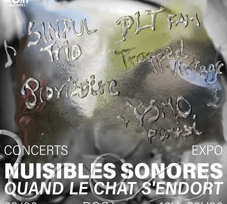 NUISIBLES SONORES, quand le chat s’endort