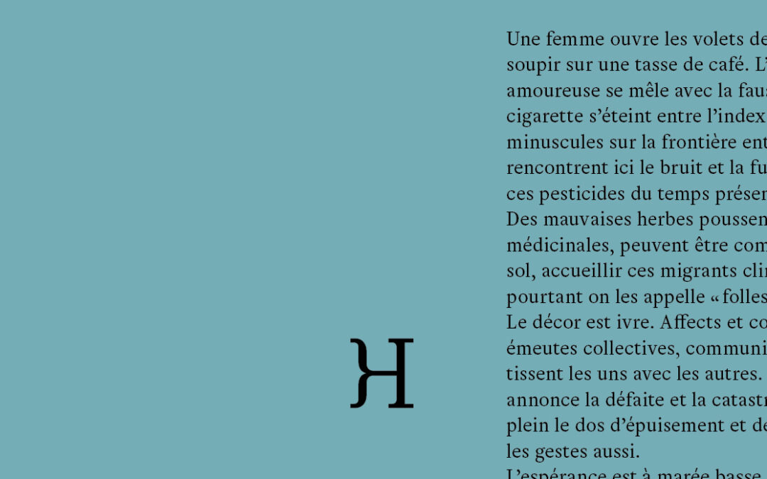 Soirée-Rencontre IVRE DECOR – Hippocampe Editions