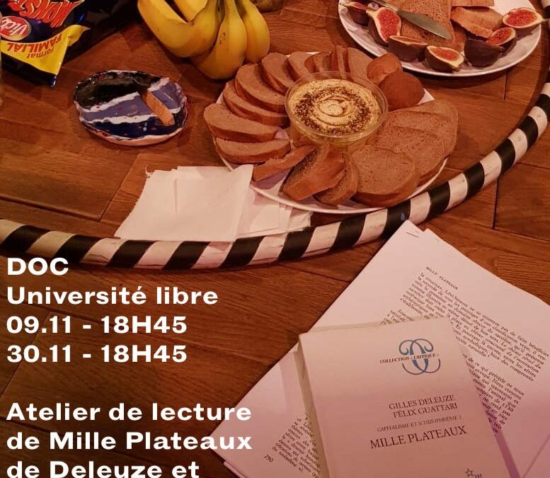Lecture de Mille Plateaux #2 et #3